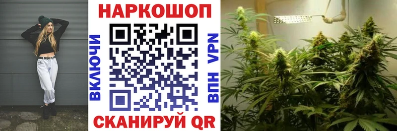 Меф Шуя