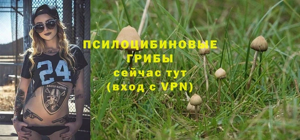 мдма Инта