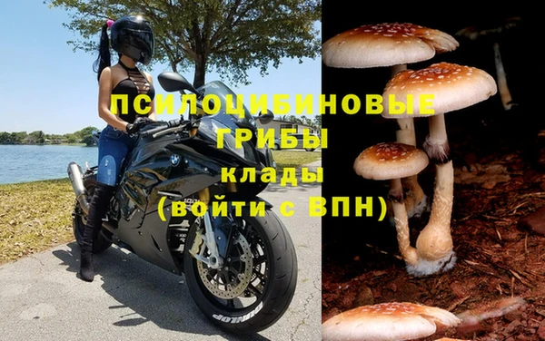 каннабис Инсар