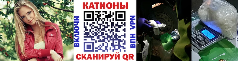 Купить  Шуя  МЯУ-МЯУ мука 