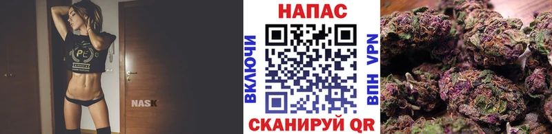 Купить закладки  Шуя  Шишки марихуана Ganja 